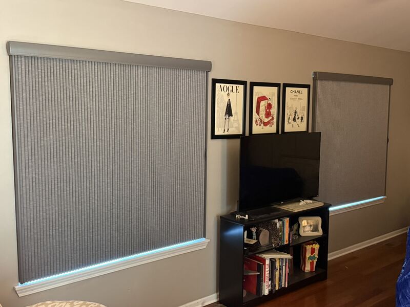 Hunter Douglas Applause Vertiglide with Blackout.