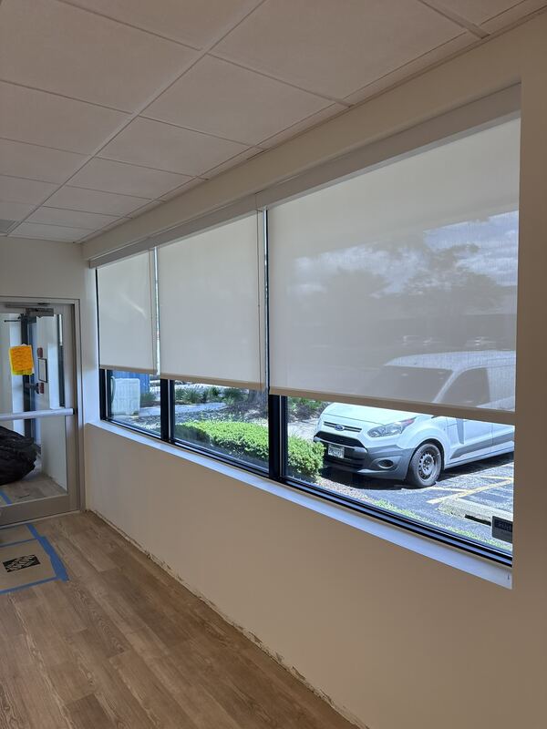 Roller and Screen Shades