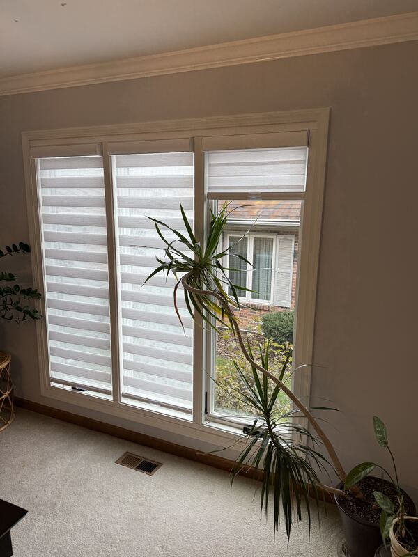 The same fabric on a smaller run, raised to clear the view.