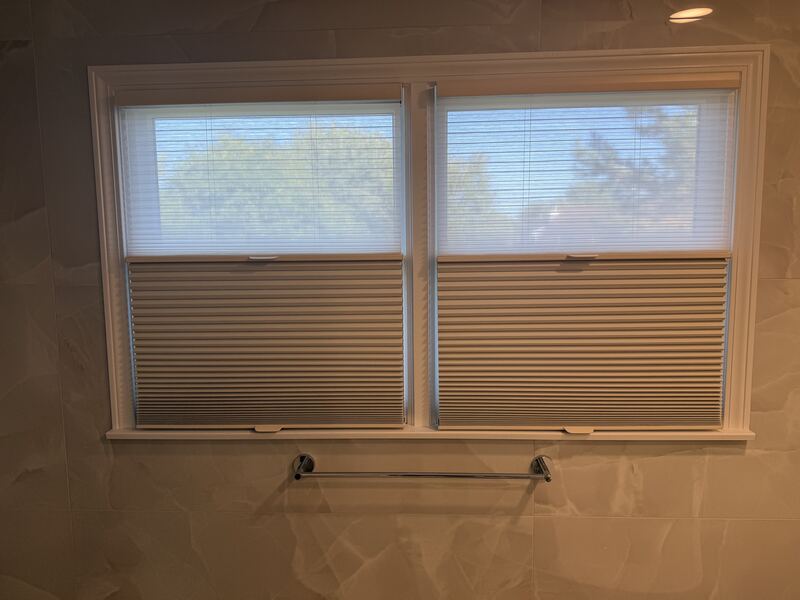 Cellular shades set at mid-height on a pair of double hungs - privacy below, treetops above.
