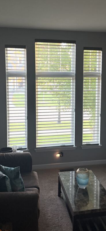 Hunter Douglas sheer shadings on a run of tall, narrow windows - privacy at eye level with the view and the daylight kept.